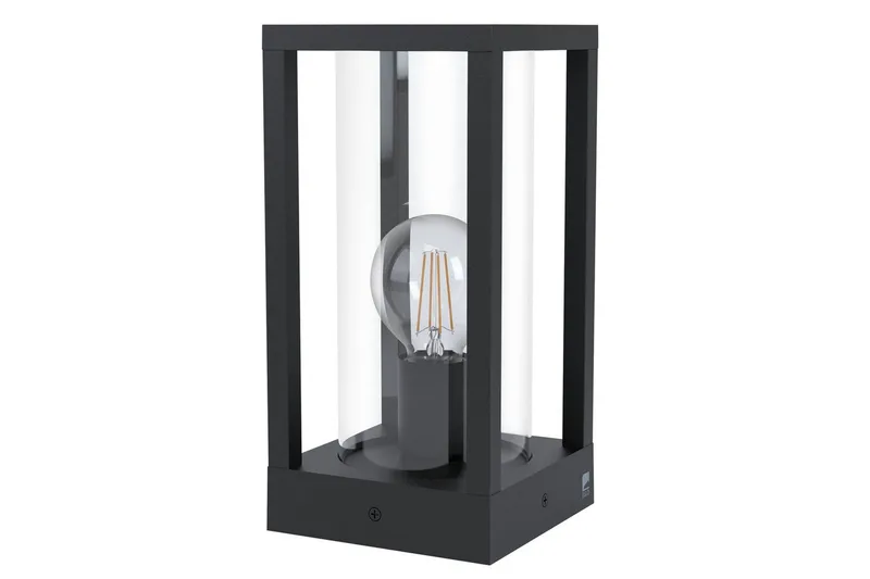 Pollari Eglo Cascinetta, Musta